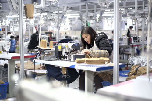 服裝輔料制造業(yè)沖刺開門紅，企業(yè)生產(chǎn)忙助力經(jīng)濟穩(wěn)增長